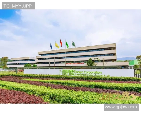 重庆羽毛球队转型之路的得与失分析与展望